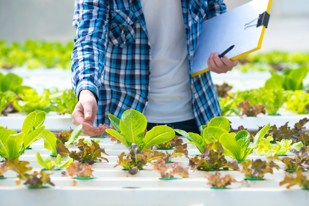 aquaponic