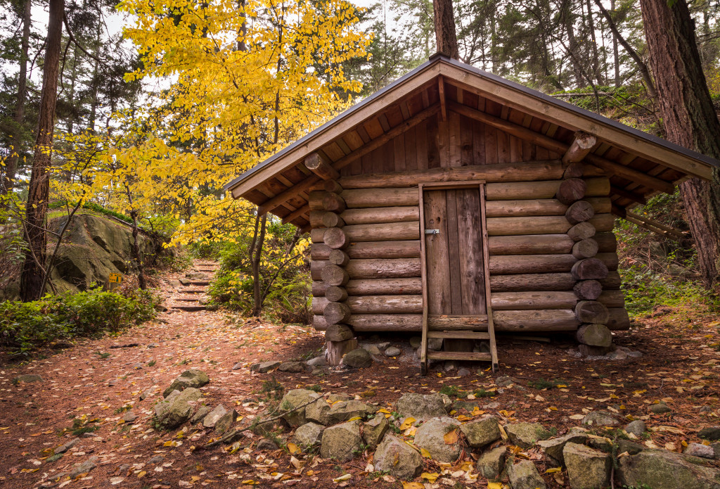 a cabin made of logs in a forest