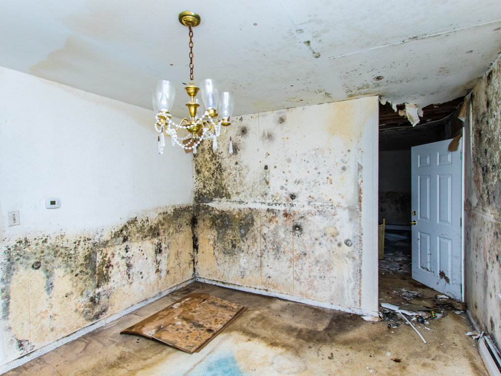 water damage causing mold and mildew to residential property