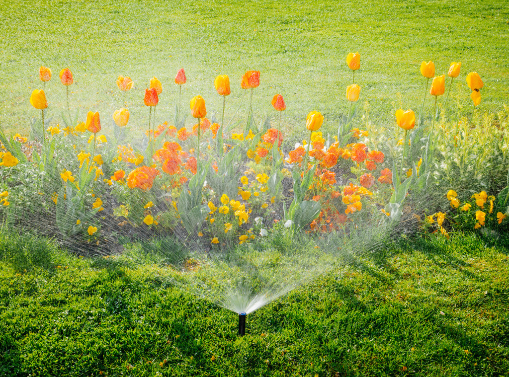 A sprinkler watering flowers