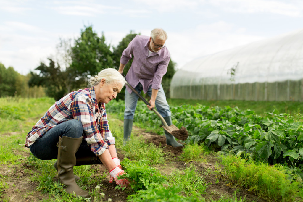 senior couple removing weed