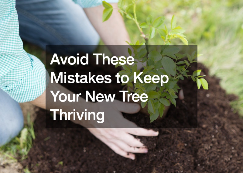 Avoid These Mistakes to Keep Your New Tree Thriving