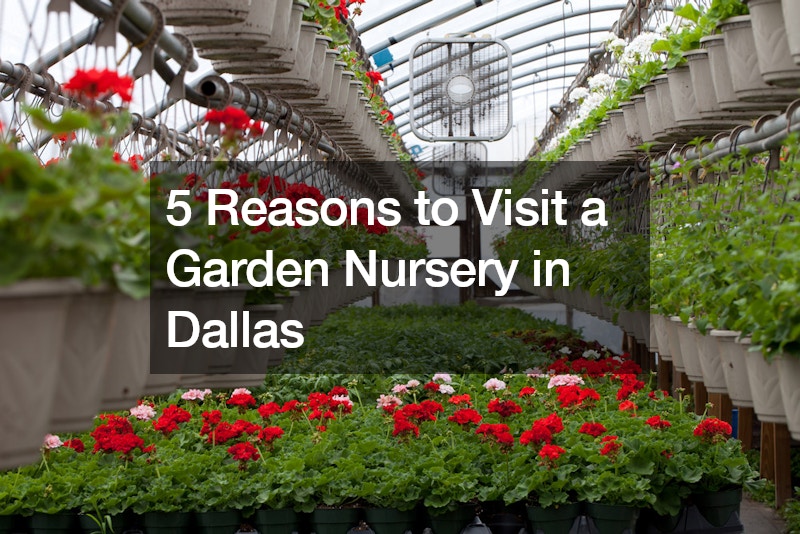 5 Reasons to Visit a Garden Nursery in Dallas